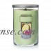 Yankee Candle Large 2-Wick Tumbler, Pineapple Cilantro   567211645